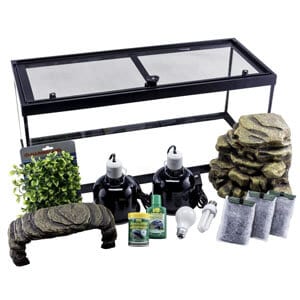 أفضل مجموعة Starter Kit 