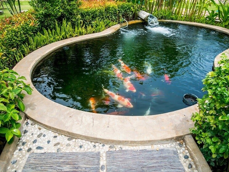 معدات Koi Pond