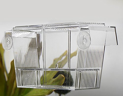 PETS ISLAND Aquarium Fishes Breeding Boxes Double Guppies Hatching Incubator Isolation Box (7.7 بوصة)